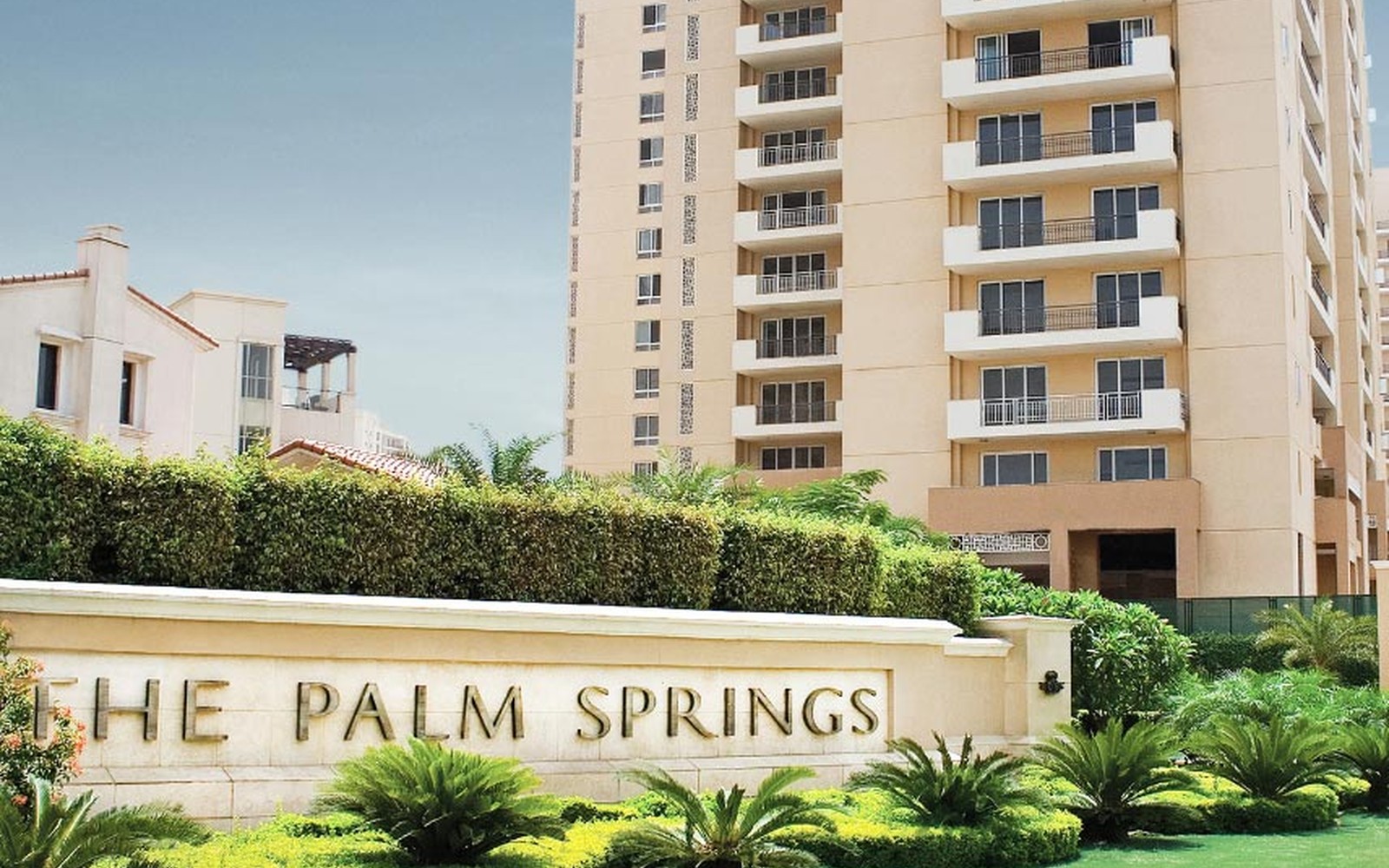 The Palm Springs